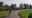 IMG-20201005-WA0010.jpg
