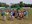 IMG-20210623-WA0010.jpg
