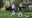 IMG-20230911-WA0016.jpg