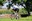 cyclists-5475979_1280.jpg
