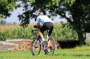 cyclists-5475979_1280.jpg